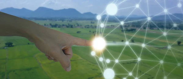 Iot Internet Las Cosas Concepto Agricultura Robótica Inteligente Inteligencia Artificial — Foto de Stock