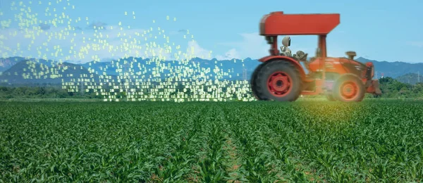 Iot Smart Farming Landbouw Industrie Technologie Met Artificiële Intelligentie Machine — Stockfoto