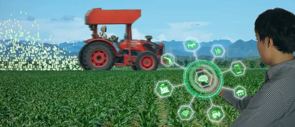 Iot Agricultura Inteligente Agricultura Indústria Tecnologia Com Inteligência Artificial Conceito — Fotografia de Stock