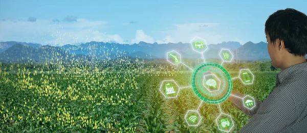 iot smart farming, agriculture in industry 4.0 technology with artificial intelligence and machine learning concept. it help to improve, categorized, specified goal, solve problem, keep goal, predict