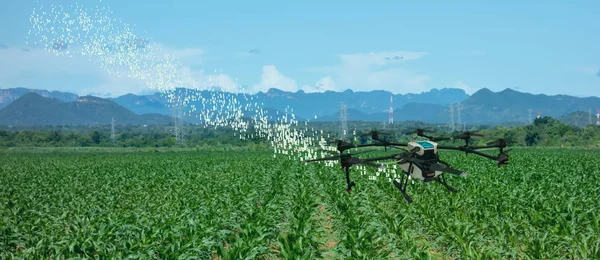 Iot Drone Smart Farming Agriculture Industry Technology Artificial Intelligence Machine — Stock Photo, Image