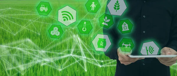 Agricultura Inteligente Concepto Agricultura Industrial Con Inteligencia Artificial Smart Farmer — Foto de Stock