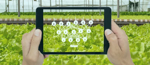 Agricoltura Intelligente Con Concetto Tecnologia Agricoltore Utilizza Apprendimento Profondo Con — Foto Stock