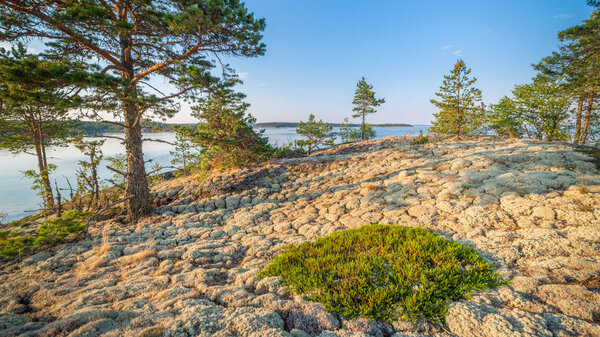 Озеро Ладога, Санкт-Петербург, 2018
