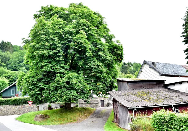 Pictures Hammer German Village — Stock Photo, Image