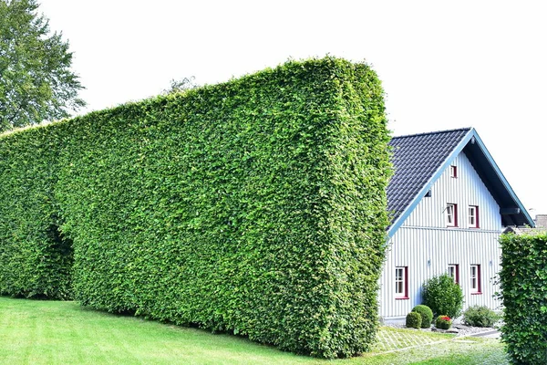 Küçük bir Alman köyü - Guppenbroich