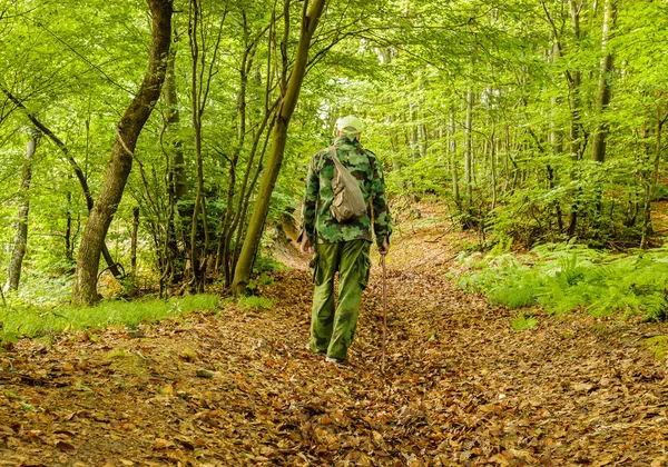 Sırt çantası ve ormanın içinden, yürüyüş baston ile kamuflaj erkeklerde arkadan görünüm