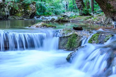 Dağ şelale taş basamaklı ve arka planda, Sırbistan, Avrupa, ağaçları ile beautifil mahalline yakın çekim