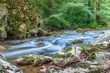 Güzel dağ dere ağaçlar ve Sırbistan, Avrupa, kayalarda çevrili küçük KADEMELI yakın çekim