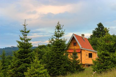 Yeşil köknar ağaçlarıyla çevrili ahşap kulübe.