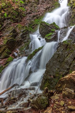 Yosun kaplı kayalar arasında akan güzel şelale