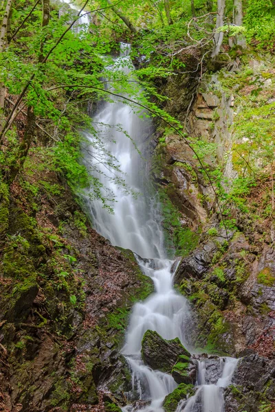 Hermosa cascada salvaje en el bosque — Foto de Stock