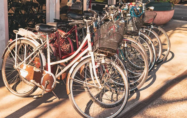 Bisiklet tamircisi, satır eski motosiklet. Vintage tarzı