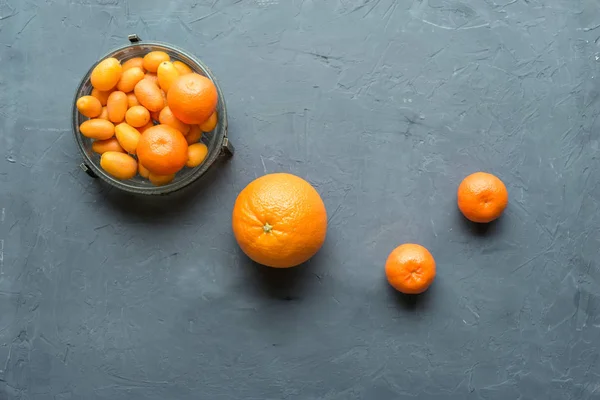 citrus fruits still life with knife and juicer on grey background