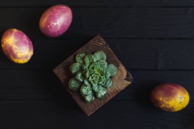 Boyalı Paskalya yumurta üretim tesisi ile yakın çekim