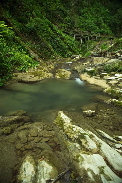 Kalter Wasserfall Regenwald — Stockfoto