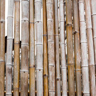 Arka plan bambu çit.