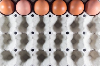 Panel beyaz kağıt çiftlikten taze yumurta.