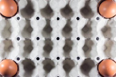 Panel beyaz kağıt çiftlikten taze yumurta.