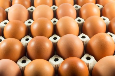 Panel beyaz kağıt çiftlikten taze yumurta.