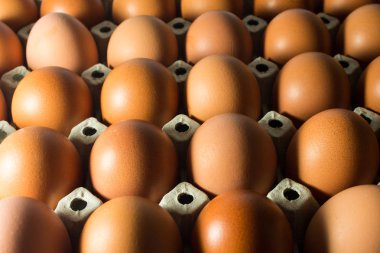 Panel beyaz kağıt çiftlikten taze yumurta.