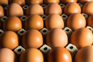 Panel beyaz kağıt çiftlikten taze yumurta.