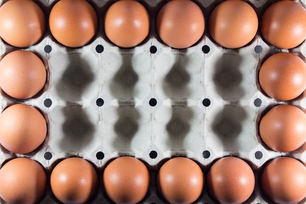 Fresh eggs from the farm in the panel white paper. — Stock Photo, Image