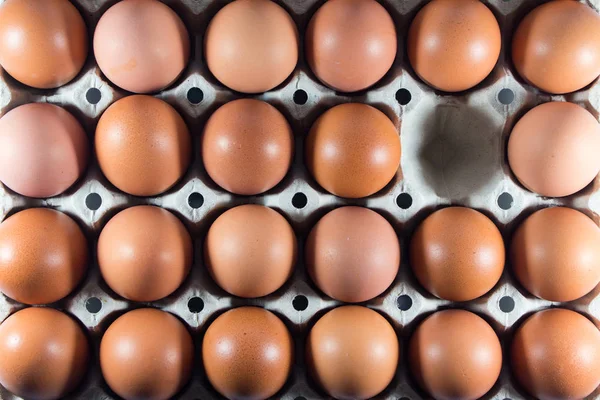 Fresh eggs from the farm in the panel white paper.