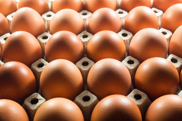 Panel beyaz kağıt çiftlikten taze yumurta.