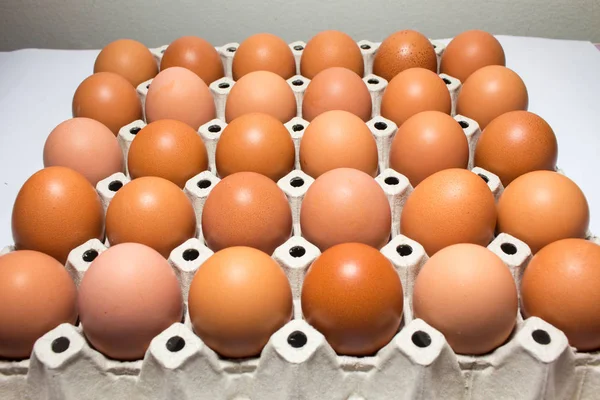 Fresh eggs from the farm in the panel white paper.