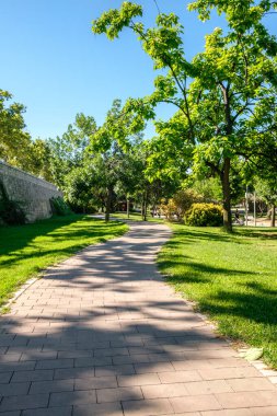 Bisikletçiler için bir zemin bisiklet yolu. Valencia İspanya 'daki Turia Garden' da ağaçlar arasında bisiklet yolu