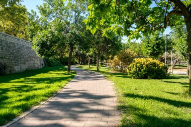 Bisikletçiler için bir zemin bisiklet yolu. Valencia İspanya 'daki Turia Garden' da ağaçlar arasında bisiklet yolu