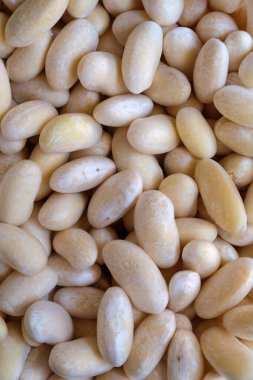 Beyaz fasulye izole.