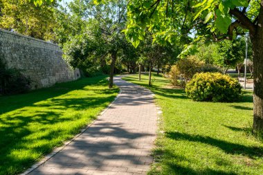 Bisikletçiler için bir zemin bisiklet yolu. Valencia İspanya 'daki Turia Garden' da ağaçlar arasında bisiklet yolu