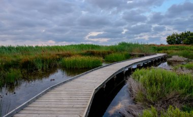 Marjal del Moro bataklık Valencia İspanya