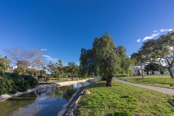 Turia River Bahçeleri Jardin del, Valencia 'da boş zaman ve spor alanı. Ağaçlar, çimen suyu
