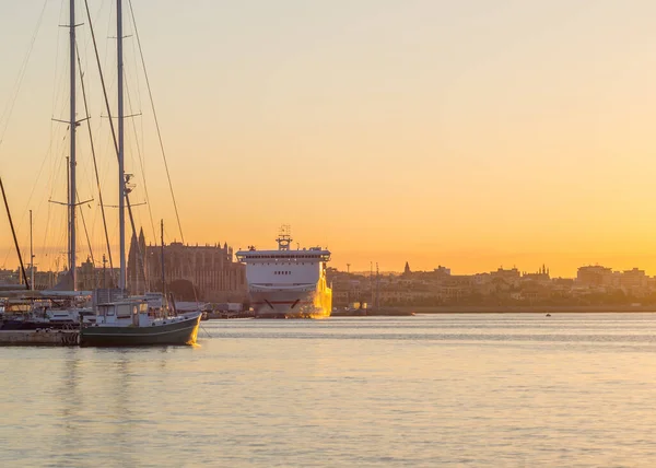 Palma de Mallorca Katedrali Sahilden uyanın, yeni bir günün şafağı