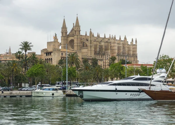 Palma de Mallorca 'daki Santa Maria Katedrali