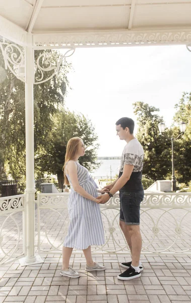 Famille Dans Parc Été Femme Enceinte — Photo