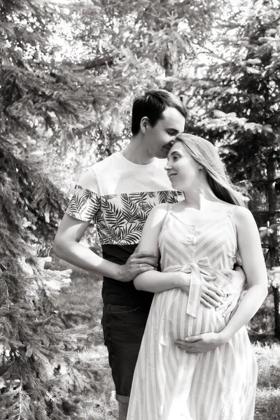 Aile yaz parkında bir arada. Kadın hamile.