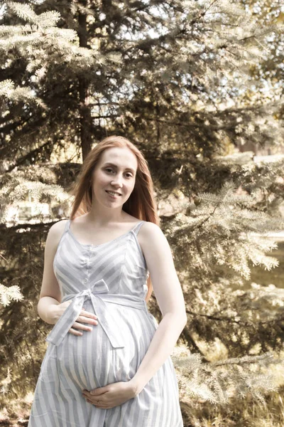 Οικογένεια Μαζί Στο Καλοκαιρινό Πάρκο Γυναίκα Είναι Έγκυος — Φωτογραφία Αρχείου