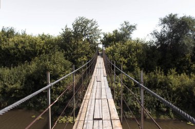 Nehrin üzerindeki eski ahşap köprü orman arasında. Yaz Ormanı.