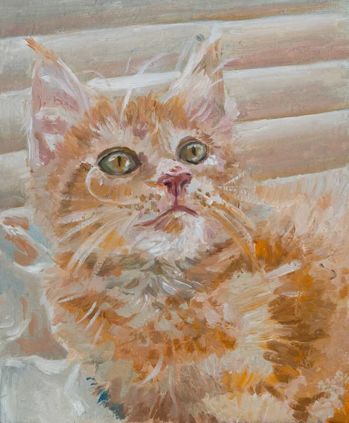 Gato de taquigrafía europea con ojos verdes, tabby rojo, gatito se encuentra cerca de la ventana, dibujar a mano pintura al óleo, ilustración animal, vendimia — Foto de Stock