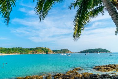 Güzel tropikal plaj ve Hindistan cevizi hurma ağacı Cennet Adası - tatil tatil kavramı ile