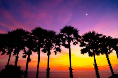 siluet palmiye ağacı ile güzel alacakaranlık günbatımı gök - işleme tarzı filtre efekti