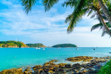 Güzel tropikal plaj ve Hindistan cevizi hurma ağacı Cennet Adası - tatil tatil kavramı ile