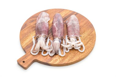 taze ahtapot veya mürekkep çiğ beyaz arka plan üzerinde izole