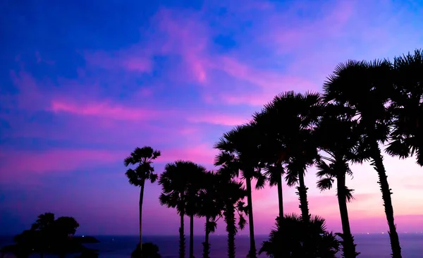 Silueta Palmera Con Hermoso Crepúsculo Puesta Del Sol Cielo Filtro —  Fotos de Stock