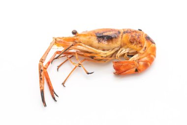 Beyaz arka plan üzerinde izole ızgara karides