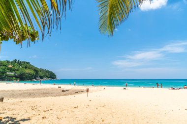 Güzel tropikal plaj ve Hindistan cevizi hurma ağacı Cennet Adası - tatil tatil kavramı ile